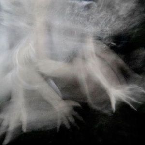 Meet your Posher, Casper